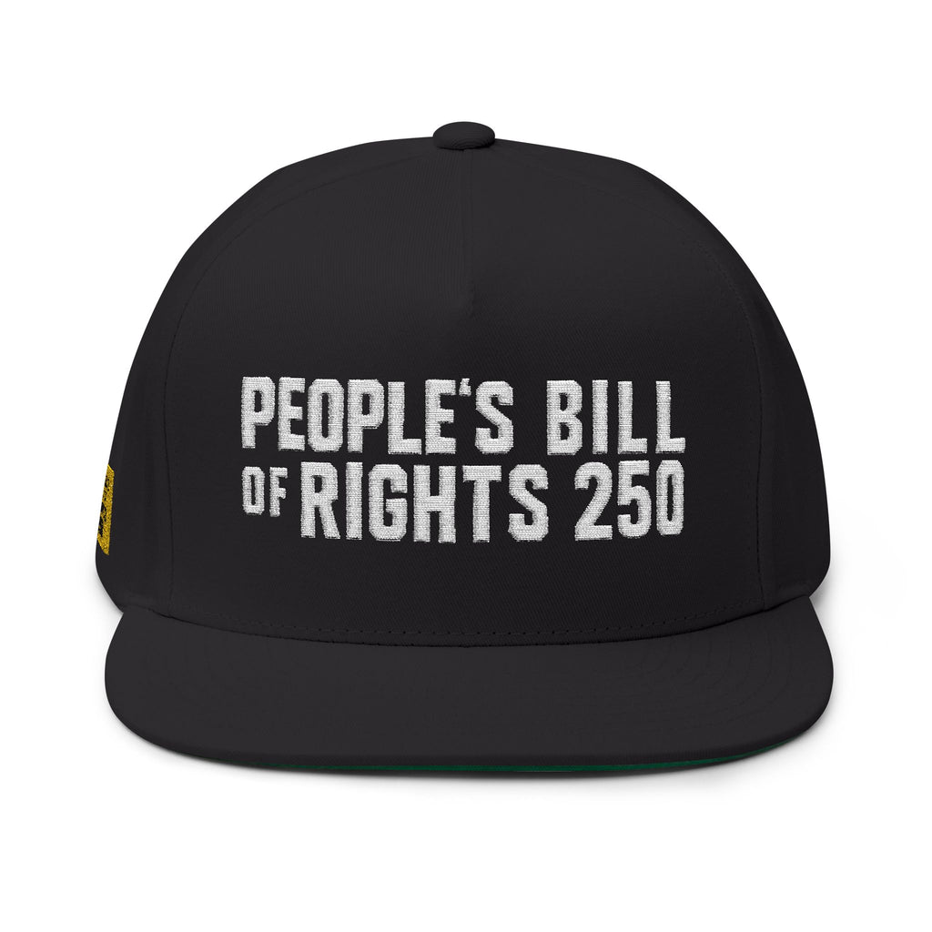 Embroidered Flat Bill Cap – "People's Bill of Rights 250" Streetwear Snapback