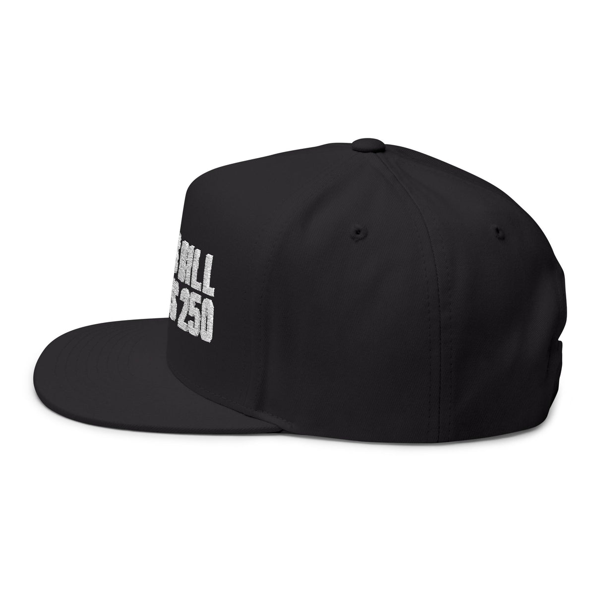 Embroidered Flat Bill Cap – "People's Bill of Rights 250" Streetwear Snapback