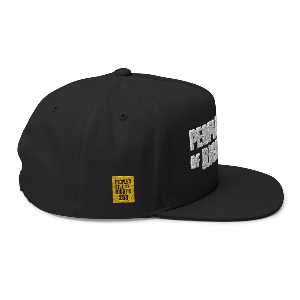 Embroidered Flat Bill Cap – "People's Bill of Rights 250" Streetwear Snapback