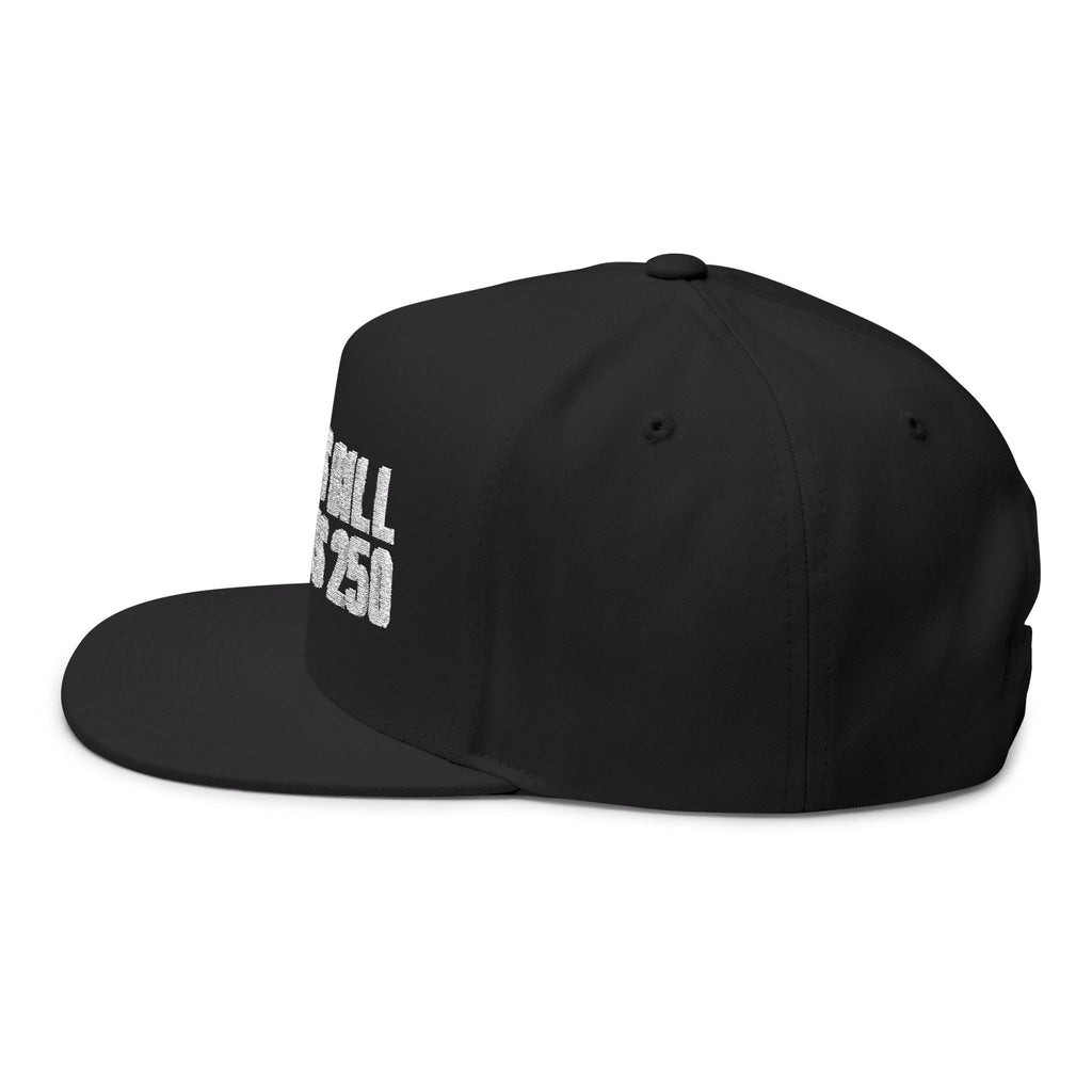 Embroidered Flat Bill Cap – "People's Bill of Rights 250" Streetwear Snapback