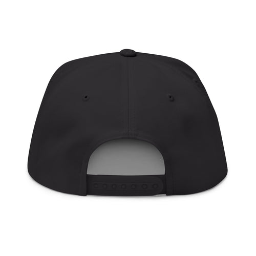 Embroidered Flat Bill Cap – "People's Bill of Rights 250" Streetwear Snapback